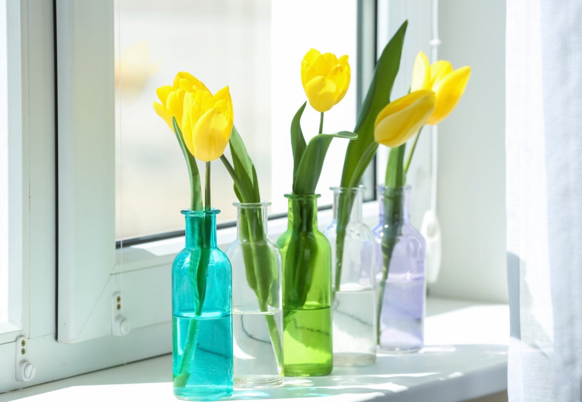 Tulipany w wazonach