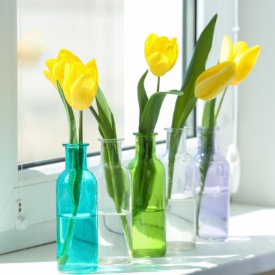 Tulipany w wazonach