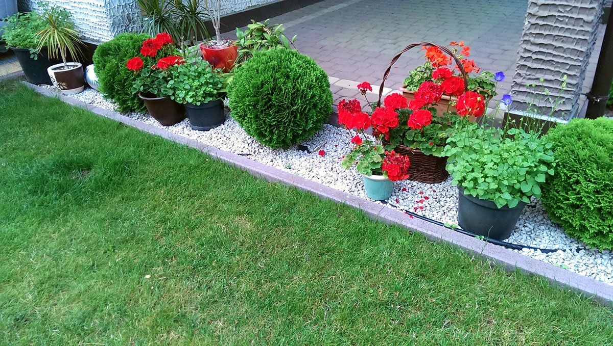 Ogród