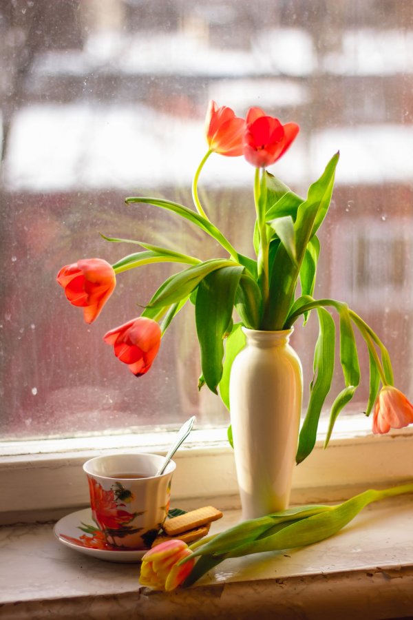Wiosenna dekoracja okna, tulipany w ceramicznym wazonie