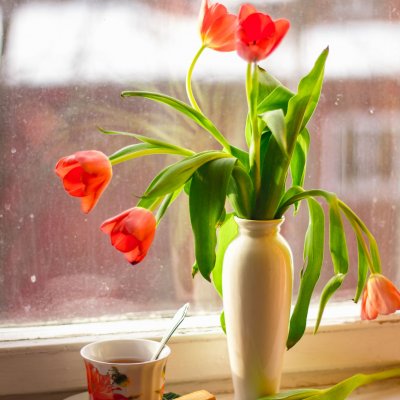 Wiosenna dekoracja okna, tulipany w ceramicznym wazonie